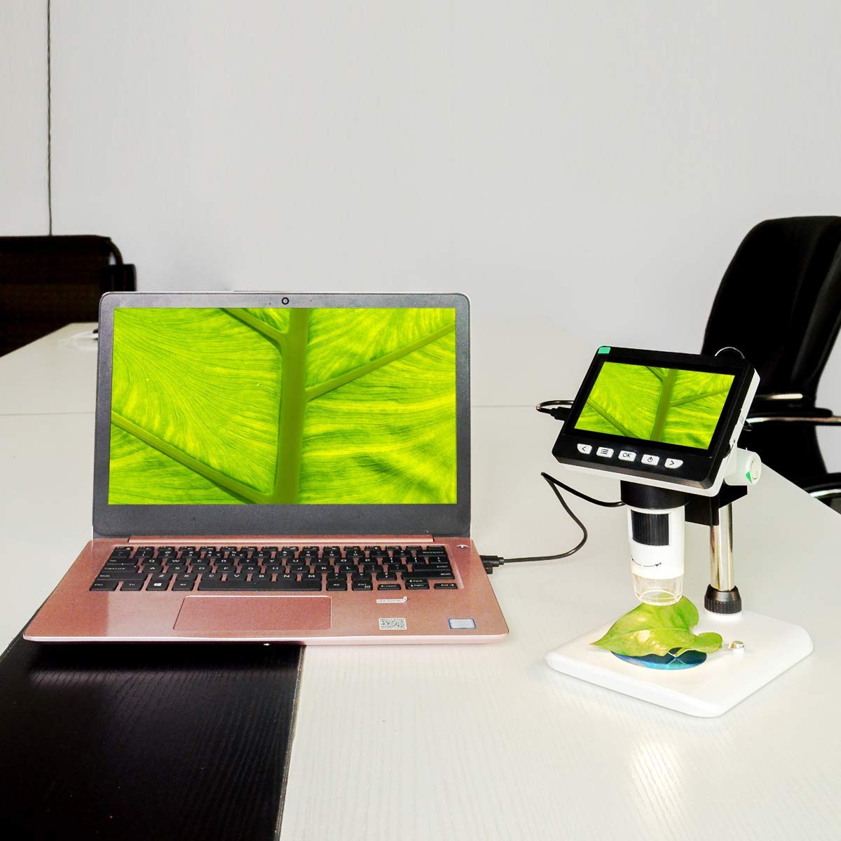 Smiledrive Digital HD Microscope with 4.3" Screen 50-1000x Magnification USB Connects with PC, Built-in MicroSD Card Slot (8gb) Smiledrive - Image 6